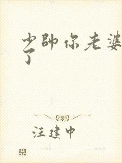 少帅你老婆又跑了