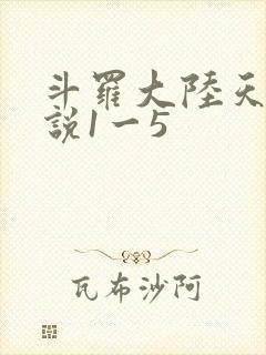 斗罗大陆天狂传说1一5