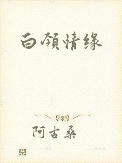白领情缘