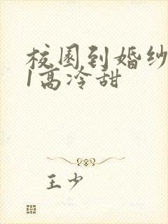 校园到婚纱1V1高冷甜