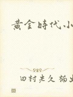 黄金时代小说