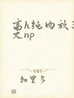 高h纯肉放荡h文np