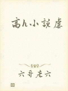 高h小说虐