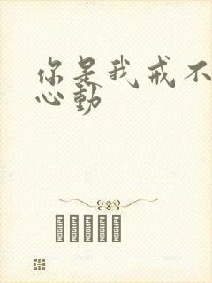 你是我戒不掉的心动