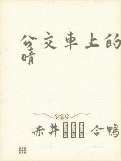 公交车上的诗请晴