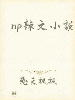 np辣文小说