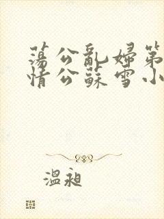 荡公乱妇第1章情公苏雪小说