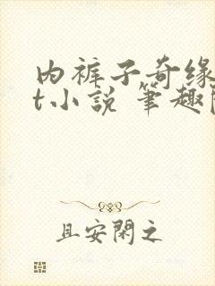 内裤子奇缘txt小说 笔趣阁