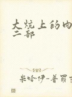 大炕上的肉伦第二部