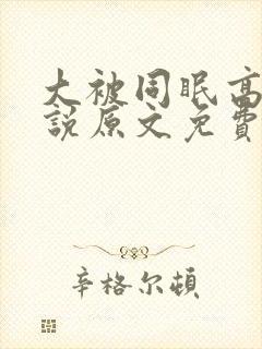 大被同眠高粱小说原文免费阅读