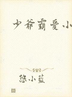 少爷霸爱小丫头