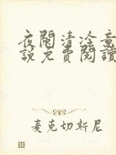 夜阑清冷意欢小说免费阅读