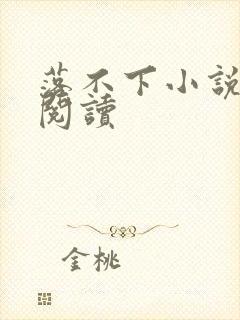 落不下小说全文阅读