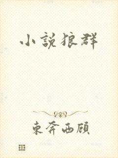 小说狼群