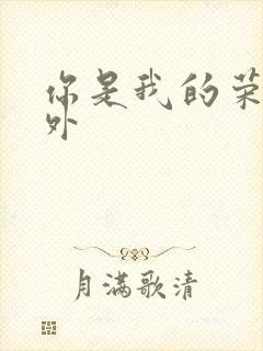 你是我的荣耀番外