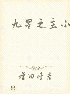 九星之主小说