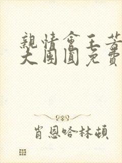 亲情会王芳高敏大团圆免费阅读