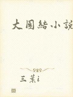 大团结小说全文