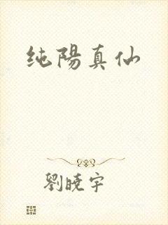 纯阳真仙