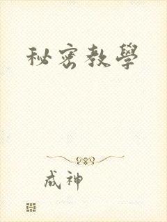 秘密教学