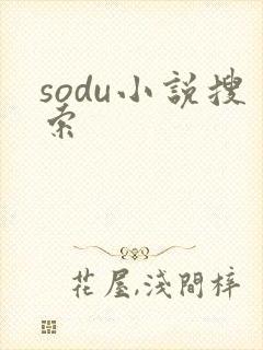 sodu小说搜索