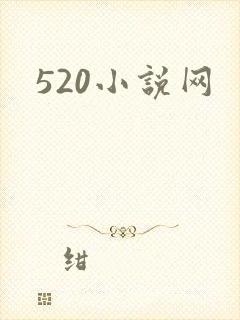 520小说网
