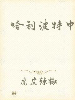 哈利波特中文版