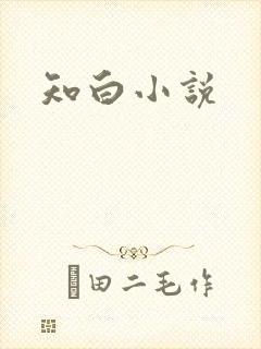 知白小说