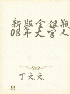 新版金银瓶2008年大官人