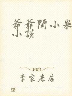 爷爷开小米的包小说