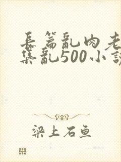 长篇乱肉老师合集乱500小说