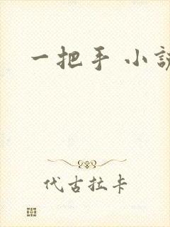 一把手 小说