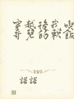 穿越后我吃到了哥儿的软饭炉山灰