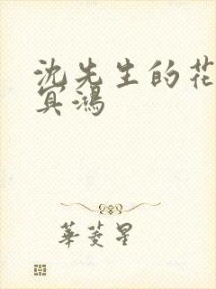 沈先生的花式调冥鸿