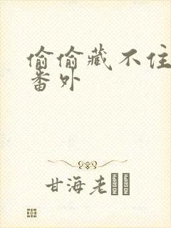 偷偷藏不住新婚番外