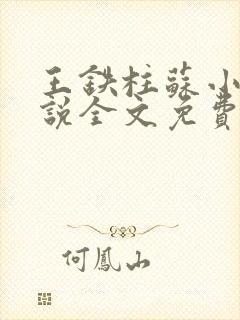 王铁柱苏小汐小说全文免费阅读最新章节