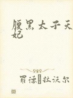 腹黑太子天降萌妃