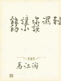 能让你湿到不行的小说