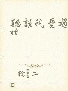 听说我爱过你txt