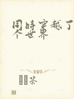 同时穿越了99个世界