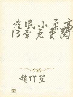 催眠小柔高达第13章免费阅读