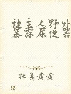 被主人野外调教暴露尿便器