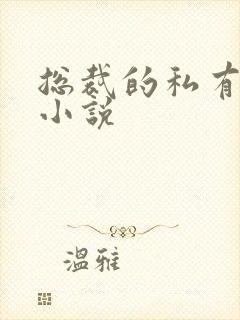 总裁的私有宝贝小说