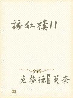 诱红楼11