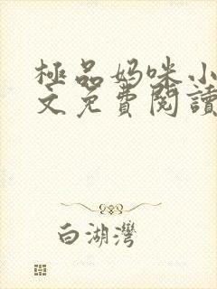 极品妈咪小说全文免费阅读