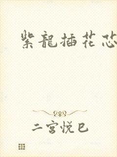 紫龙插花芯方正