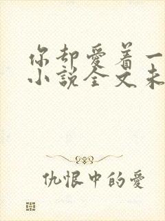 你却爱着一个他小说全文未删减免费