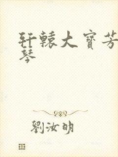 轩辕大宝芳菲雅琴