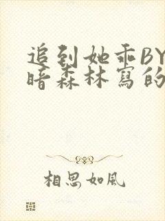 追到她乖BY黑暗森林写的小说