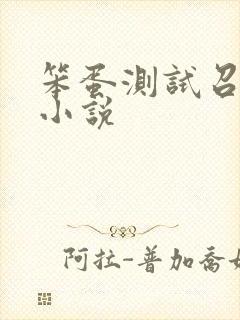 笨蛋测试召唤兽小说